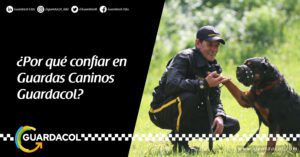 perro guarda con humano de seguridad sujetando la pata derecha